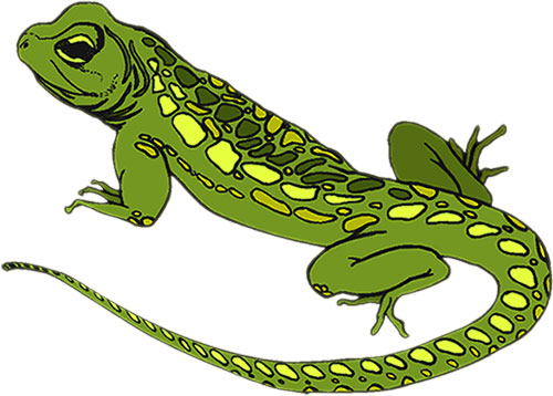 500x358 Best Lizard Clipart