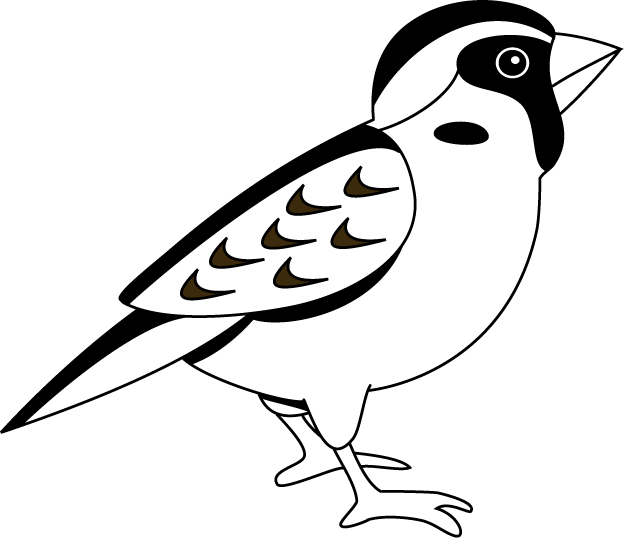624x538 Black And White Sparrow Clipart