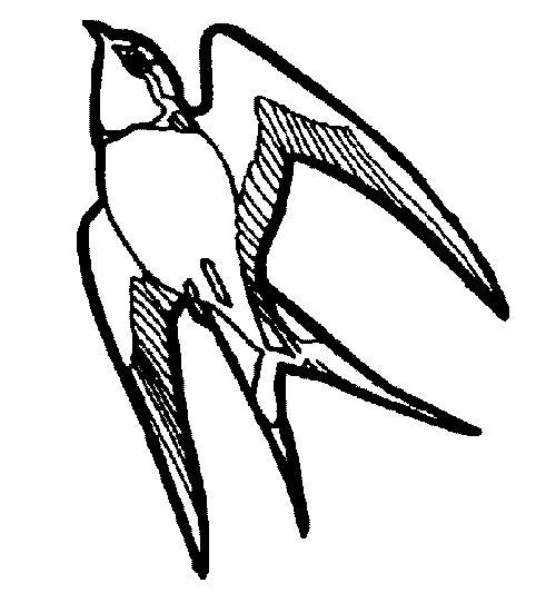 500x533 Bird Clipart Black And White