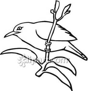 290x300 Bird Black And White Clipart 1966478