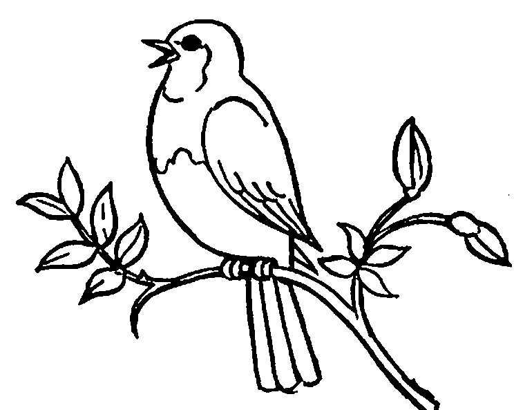 744x593 Bird Clipart Black And White