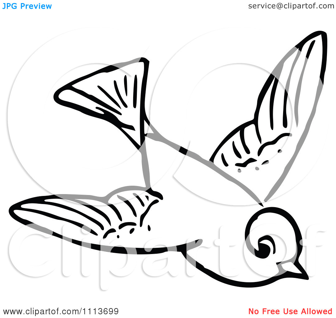 1080x1024 Bird Black And White Clipart