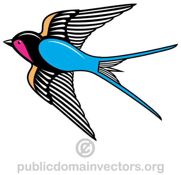 600x580 Flying Swallow Bird Vector Art 123freevectors