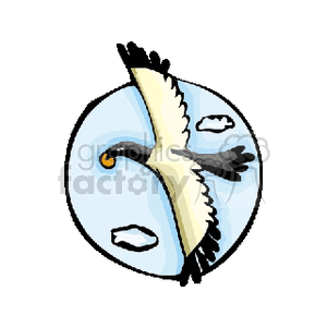 300x300 Royalty Free Black And White Flying Bird With Orange Object