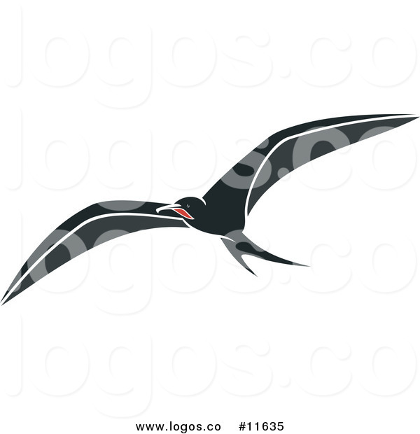 600x620 Royalty Free Clip Art Vector Logo Of A Flying Wild Albatross Bird