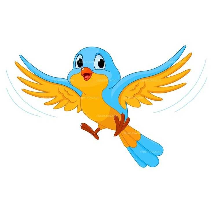 736x736 Top 10 Small Bird Clipart