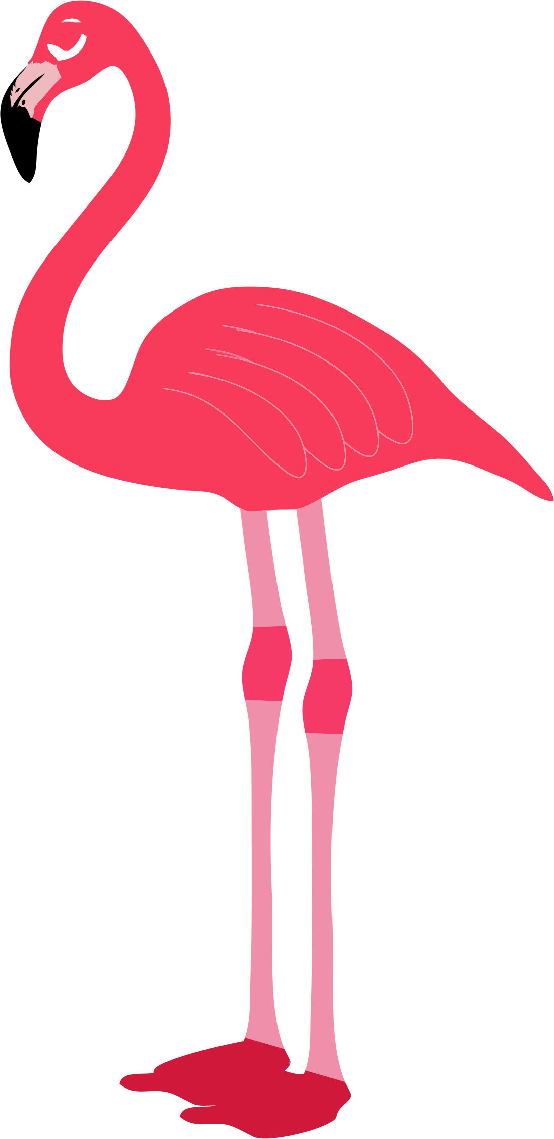 1098x2256 Flamingo Clip Art Free Clipart Images 9