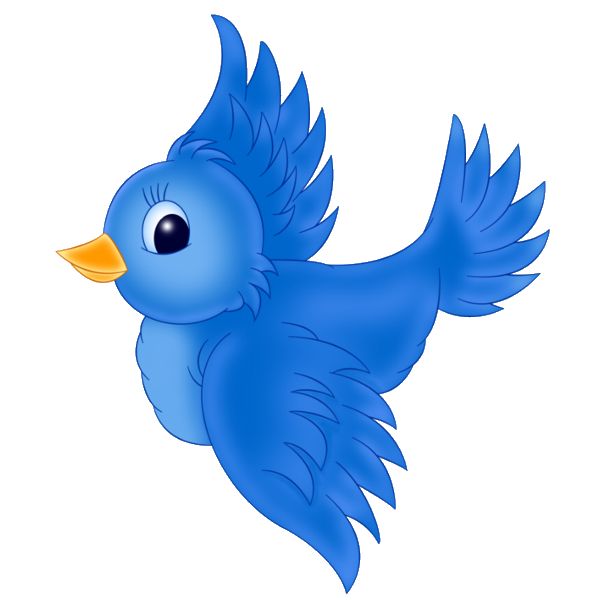 600x600 Bird Clipart Cartoon