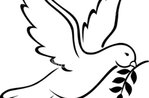 500x329 Bird Drawing Outline Clip Art Library Of Birds We Are All