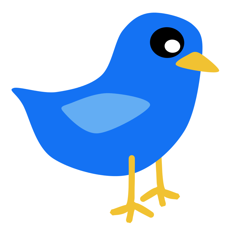 800x795 Free Clipart Blue Bird Scout