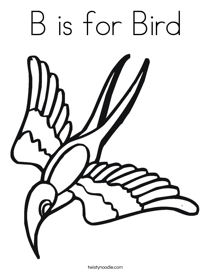 685x886 Bird Coloring Pages