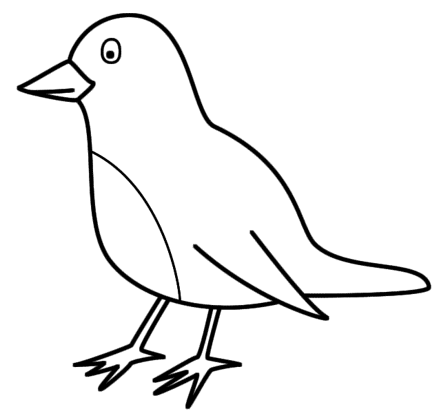 650x610 Bird Coloring Pages For Children