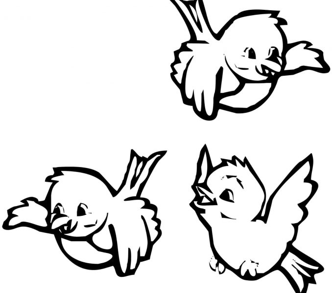 678x600 Birds Coloring Pages Best Coloring Pages
