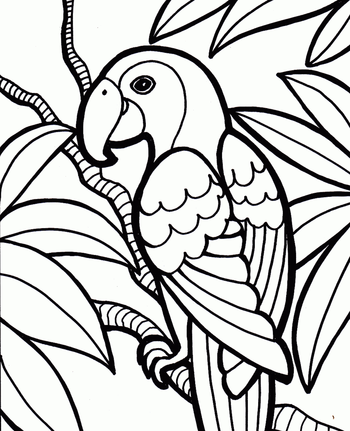 1188x1463 Best Free Parrots Bird Coloring Pages For Kids