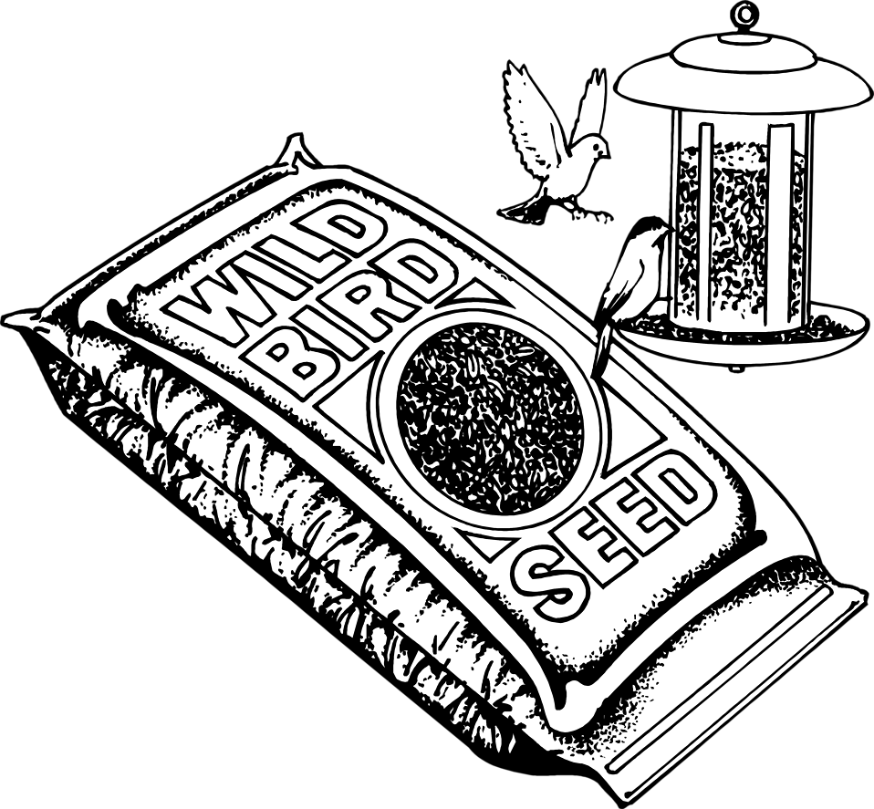 958x887 Birdseed Free Stock Photo Illustration Of Bird Seed And Birds