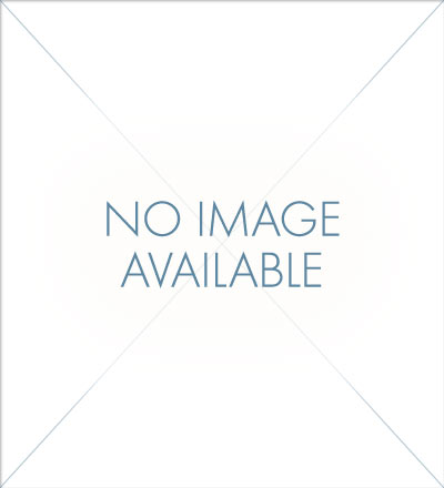 400x440 Handmade Iron Rain Girl Bird Feeder With Kitten Wind Amp Weather