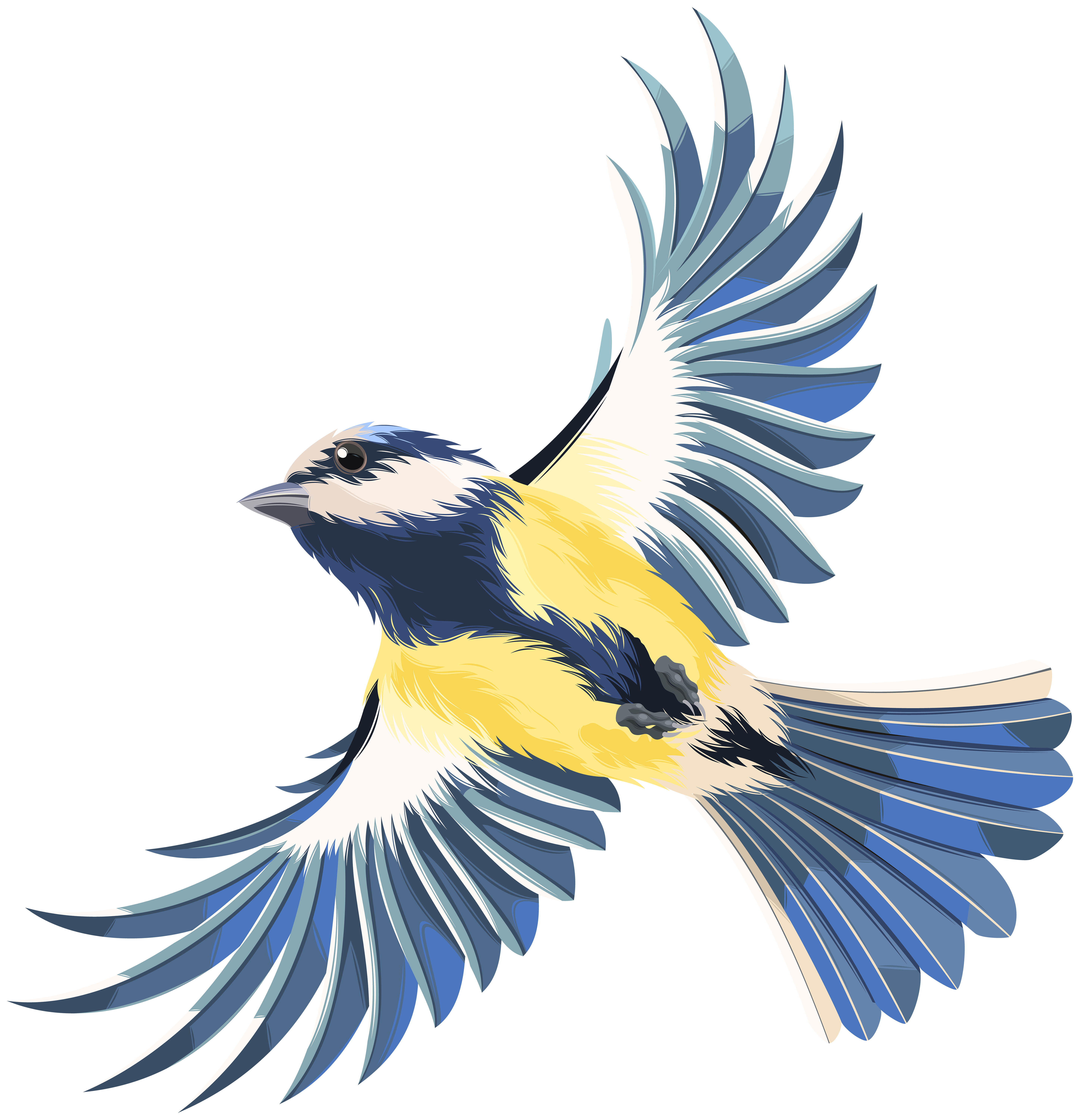 5787x6000 Flying Bird Transparent Png Clip Art Imageu200b Gallery Yopriceville