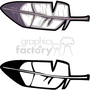 300x300 Royalty Free Two Bird Feathers 130233 Vector Clip Art Image