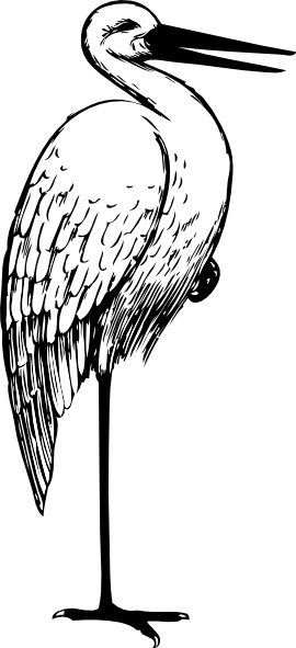 270x591 Bird Standing One Foot Clip Art Free Vector In Open Office Drawing