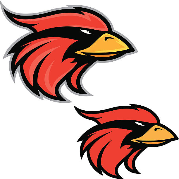 612x610 Cardinal Clipart Bird Head