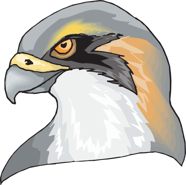 600x595 Hawk Head Clip Art