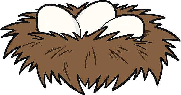 612x320 Clipart Birds Nest Collection On Bird Nest Clip Art