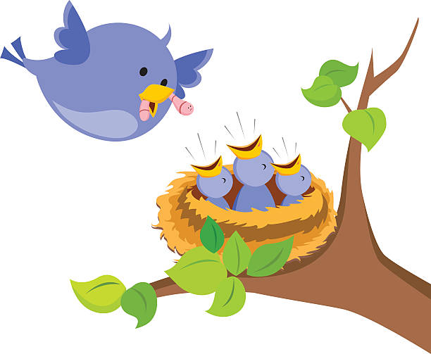 612x503 Mother Bird Clipart