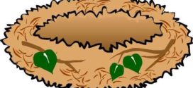272x125 Nest Clipart Bird Nest