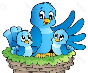 300x250 Bird's Nest Clipart Animated