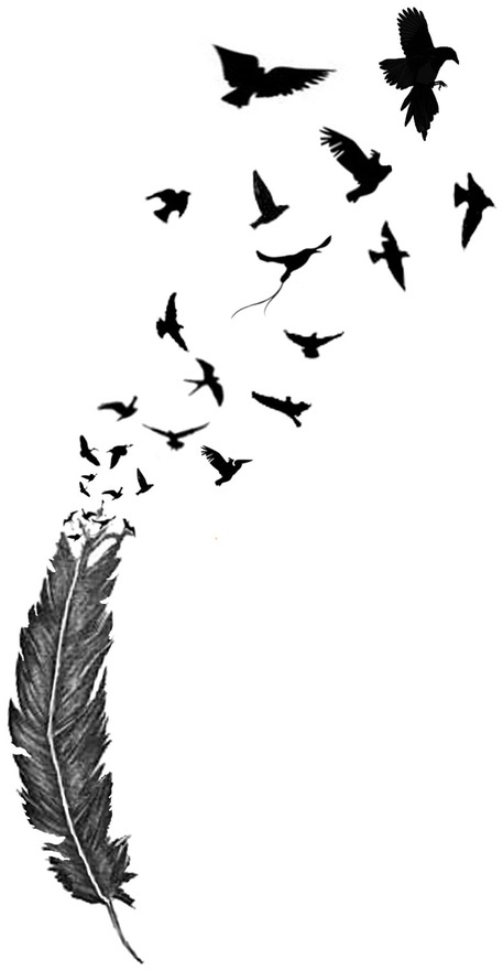 457x880 Feather Turning Into Birds Clipart