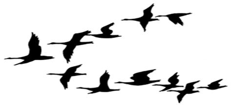 475x215 Geese Migration Clipart Black And White
