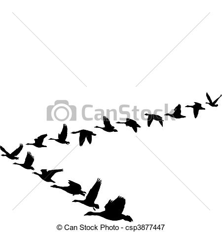 450x470 Goose Clipart Migrating Bird