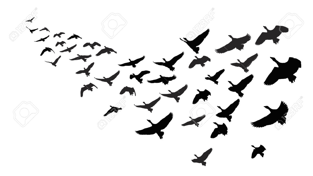 1300x731 Migration Clipart Black And White