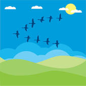 170x170 Migratory Birds Clip Art