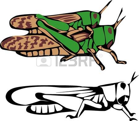 450x393 Migratory Character Clipart