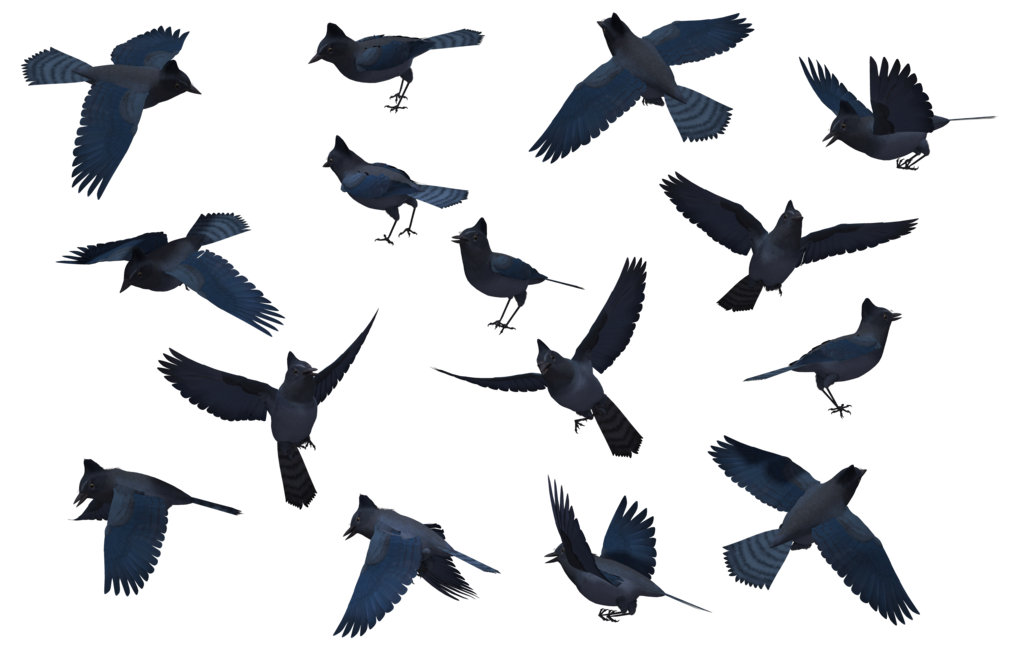 1024x645 Requested Bird Set