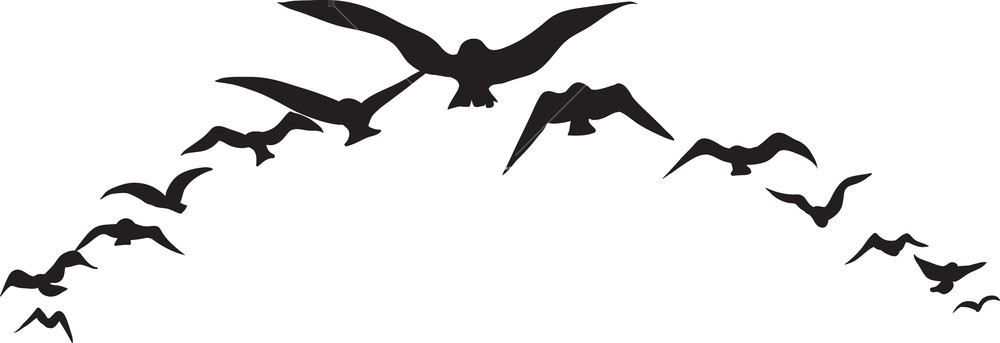 1000x343 Vector Birds Royalty Free Stock Image