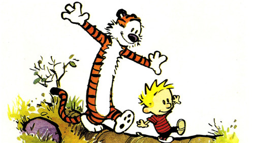 500x282 Bird Migrations Tumblr