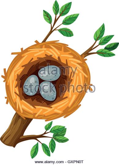 Bird Nest Cartoon | Free download on ClipArtMag