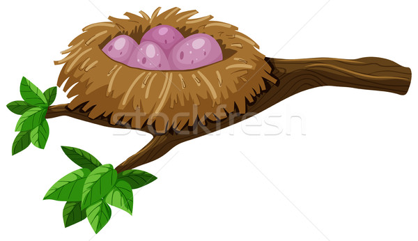 600x346 Bird Nest Stock Photos, Stock Images And Vectors Stockfresh