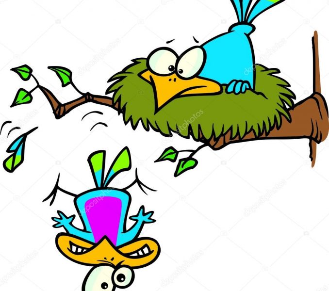678x600 Cartoon Bird Nest Kids Coloring