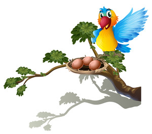 300x266 Illustration Of A Parrot And A Nest On A White Background Royalty