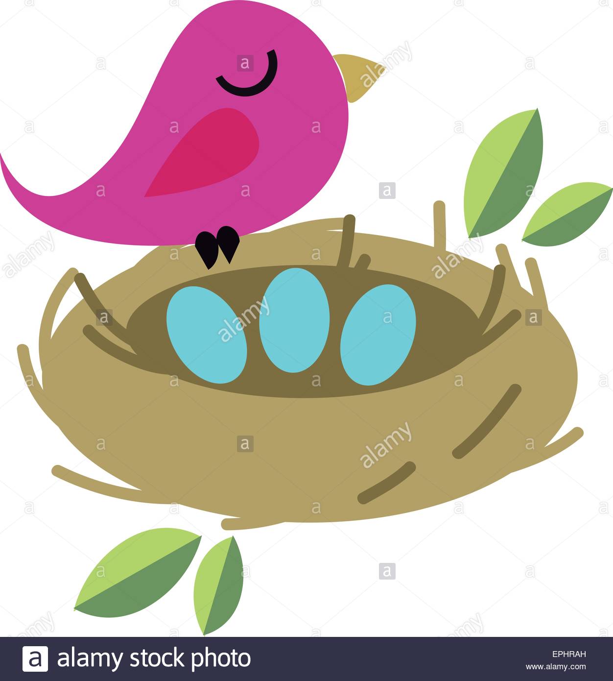 1252x1390 Vector Illustration Of Tiny Bird With Eggs In A Nest. Nature
