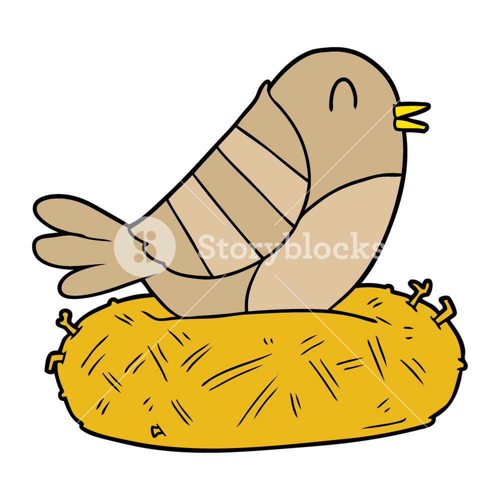 1000x1000 Cartoon Bird Sitting On Nest Royalty Free Stock Image