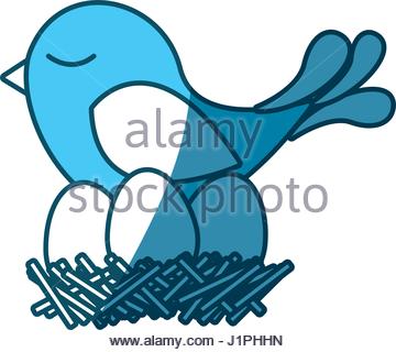 360x320 Bird And Bird Nest With Eggs Illustration Stock Vector Art