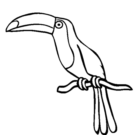 580x571 Bird Drawing Clipart