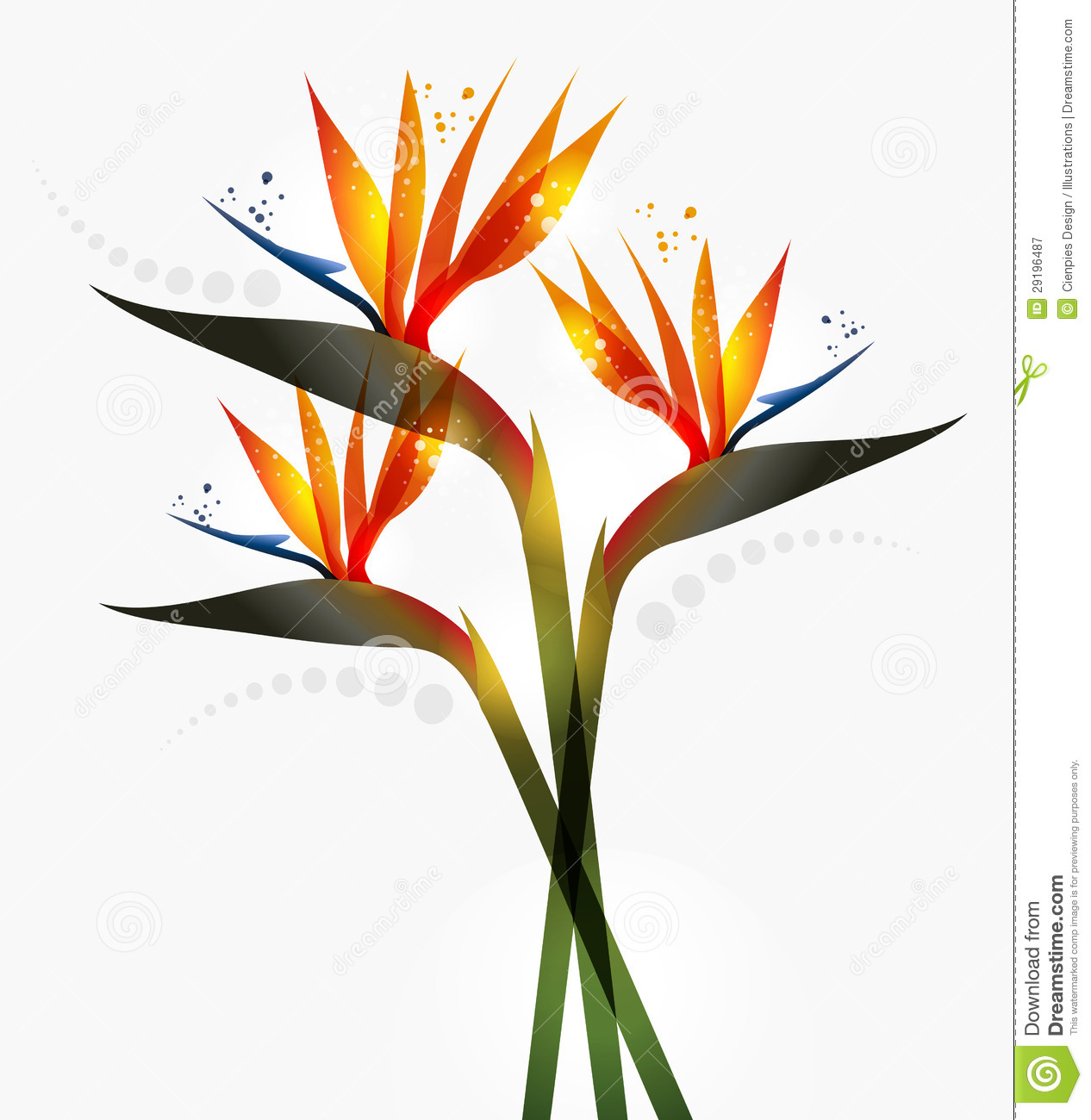 1266x1300 Bird Of Paradise Clip Art Cliparts
