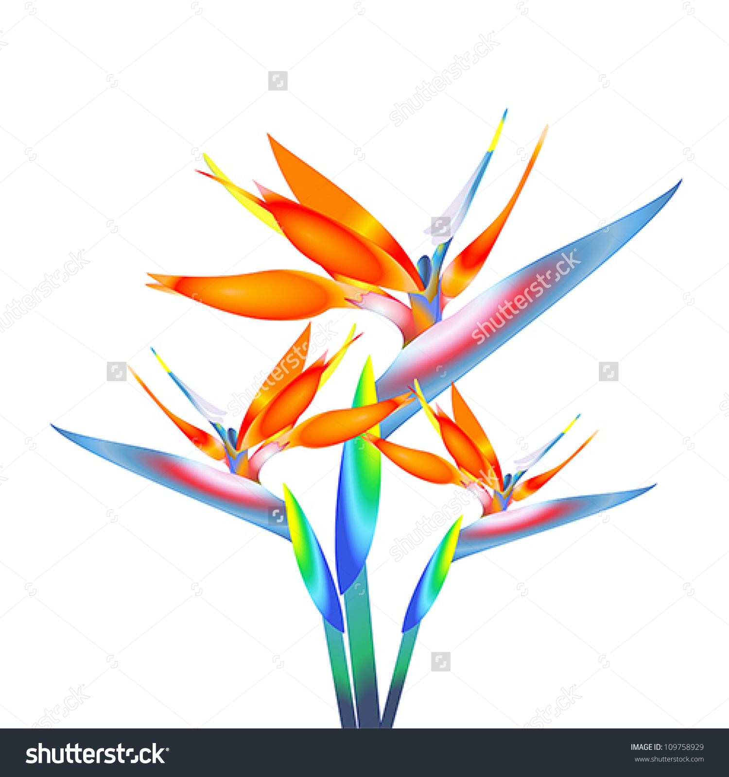 1500x1600 Bird Of Paradise Flower Clipart