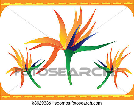 450x356 Bird Paradise Flower Clip Art And Illustration. 1,035 Bird