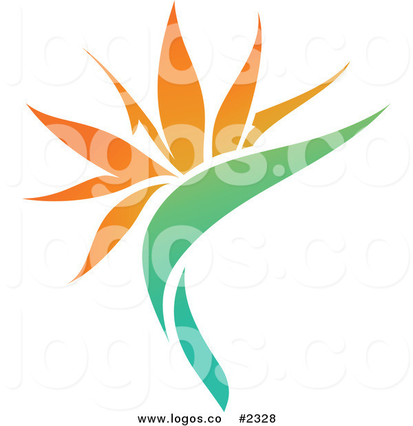 Bird Of Paradise Clipart | Free download on ClipArtMag